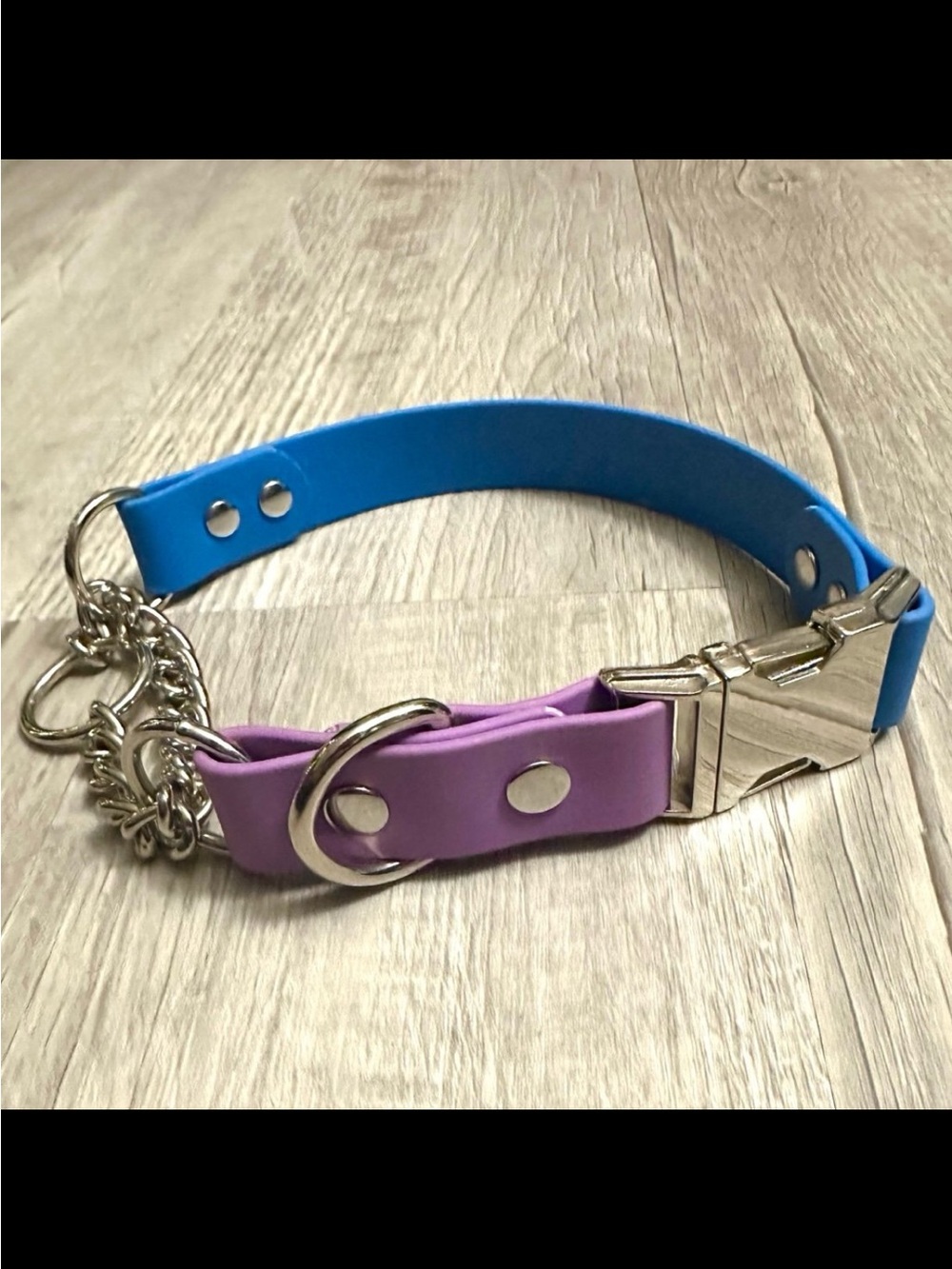 Biothane Quick Release Martingale 17.5” Dog Collar